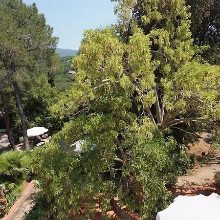 Valle Procchio (Isola d'Elba)